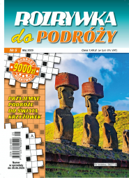 Rozrywka do Podróży
