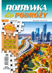 Rozrywka do Podróży