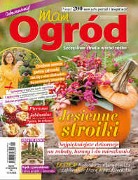 MAM OGRÓD