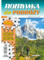 Rozrywka do Podróży