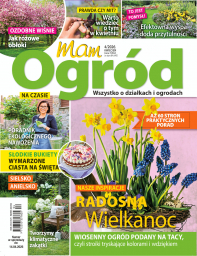 MAM OGRÓD - 4/26