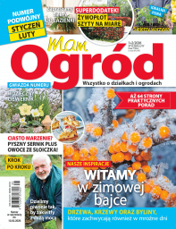 MAM OGRÓD - 1_2/26