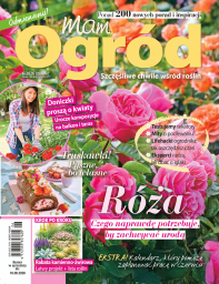 MAM OGRÓD - 6/26