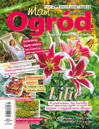 MAM OGRÓD - 7/26