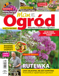 MAM OGRÓD - 5/25