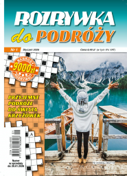 Rozrywka do Podróży